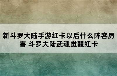 新斗罗大陆手游红卡以后什么阵容厉害 斗罗大陆武魂觉醒红卡